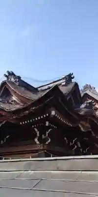 唐崎神社の本殿・本堂