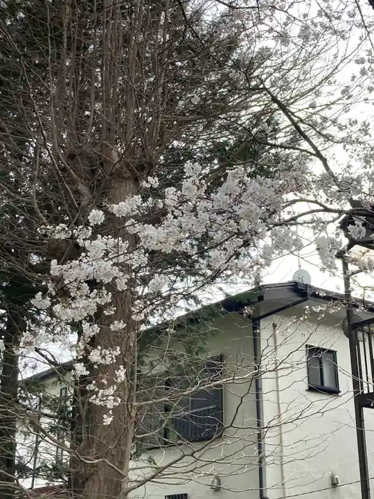 尉殿神社の自然
