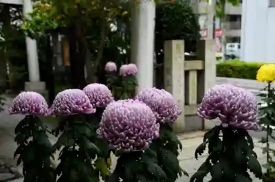 笠間稲荷神社 東京別社の自然