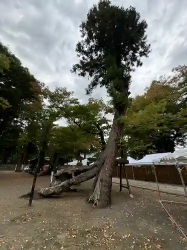 武水別神社(長野県)