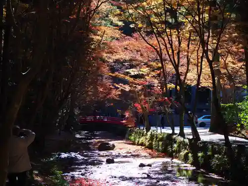 小國神社の庭園