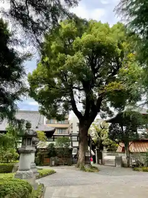 高安寺(東京都)