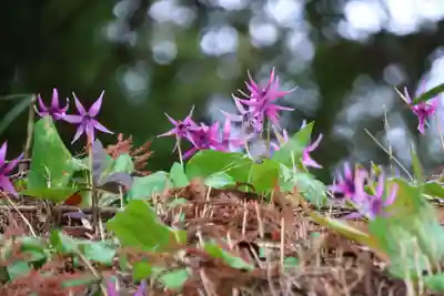 田村神社の自然