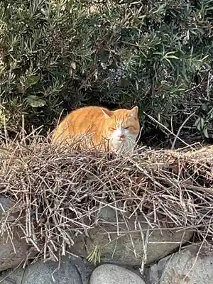 一心寺・一心禅寺(愛知県)
