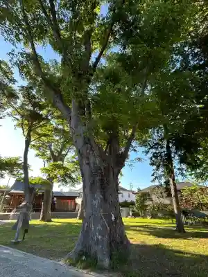渚大神社(長野県)