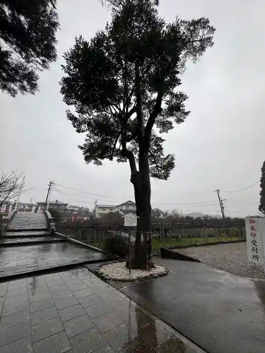 西寒多神社(大分県)