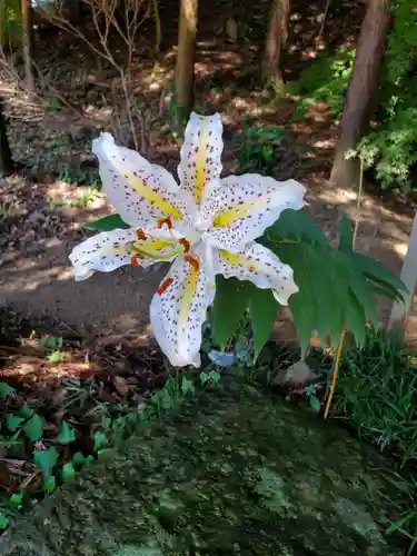 滑川神社 - 仕事と子どもの守り神の自然