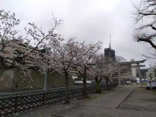 福井神社(福井県)