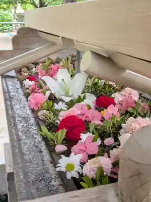 鳩森八幡神社(東京都)