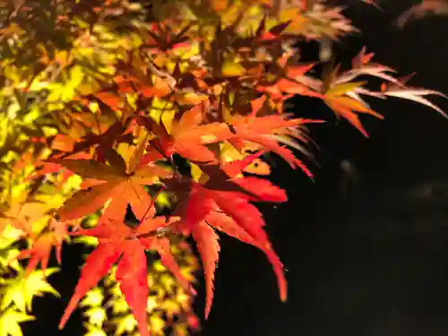 円通院(宮城県)