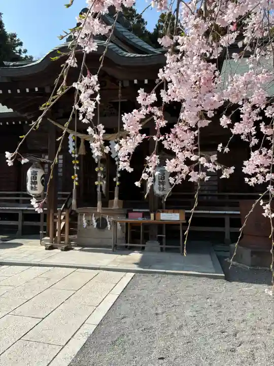 常陸第三宮 吉田神社の{uncategorized: "未分類", other: "その他", undefined: "問題あり", building: "その他建物", grave: "お墓", sacred_gate: "鳥居", guardian: "狛犬", statue: "像", buddha: "仏像", history: "歴史", nature: "自然", garden: "庭園", animal: "動物", pagoda: "塔", temizu: "手水舎", mountain_gate: "山門・神門", sanctuary: "本殿・本堂", subordinate: "末社・摂社", art: "芸術", scenery: "景色", jizo: "地蔵", ema: "絵馬", goshuin: "御朱印", omikuji: "おみくじ", items: "授与品その他", amulet: "お守り", goshuincho: "御朱印帳", eats: "食事", festival: "お祭り", votive_dance: "神楽", shichigosan: "七五三参", wedding: "結婚式", experience: "体験その他", initially: "初詣", around: "周辺", anti_infection: "感染症対策"}