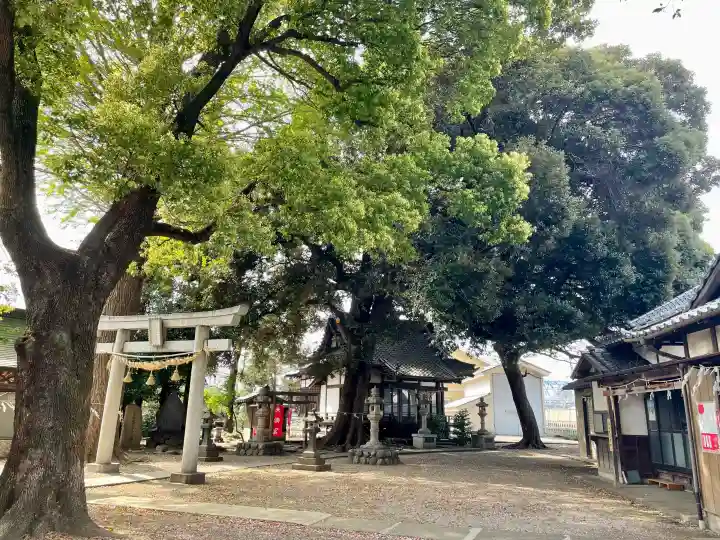 諏訪大神社 の{uncategorized: "未分類", other: "その他", undefined: "問題あり", building: "その他建物", grave: "お墓", sacred_gate: "鳥居", guardian: "狛犬", statue: "像", buddha: "仏像", history: "歴史", nature: "自然", garden: "庭園", animal: "動物", pagoda: "塔", temizu: "手水舎", mountain_gate: "山門・神門", sanctuary: "本殿・本堂", subordinate: "末社・摂社", art: "芸術", scenery: "景色", jizo: "地蔵", ema: "絵馬", goshuin: "御朱印", omikuji: "おみくじ", items: "授与品その他", amulet: "お守り", goshuincho: "御朱印帳", eats: "食事", festival: "お祭り", votive_dance: "神楽", shichigosan: "七五三参", wedding: "結婚式", experience: "体験その他", initially: "初詣", around: "周辺", anti_infection: "感染症対策"}