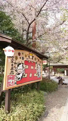 櫻木神社の絵馬