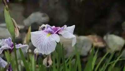 総持寺(大阪府)