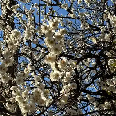 品川神社(東京都)