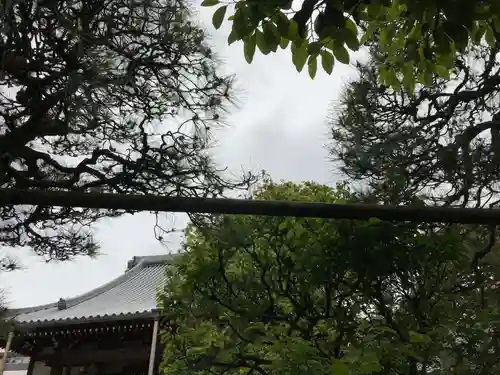 法立寺の自然