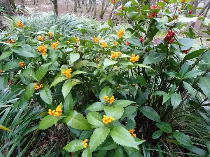 宝満宮竈門神社(福岡県)