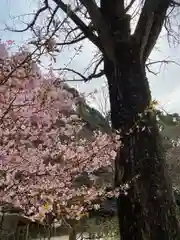 宝満宮竈門神社の自然