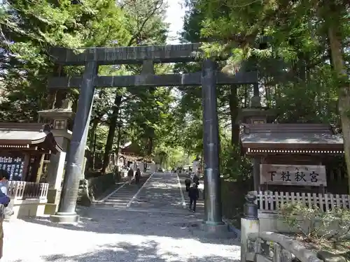 諏訪大社下社秋宮の鳥居