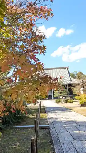 光明寺（粟生光明寺）(京都府)