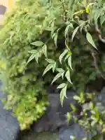 西方山極楽寺(岐阜県)