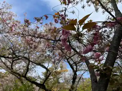 石清水八幡宮(京都府)