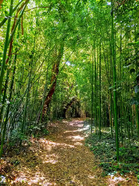 筒島弁財天の自然