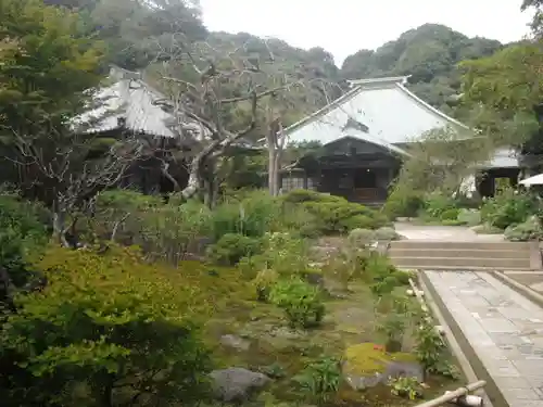 海蔵寺の庭園