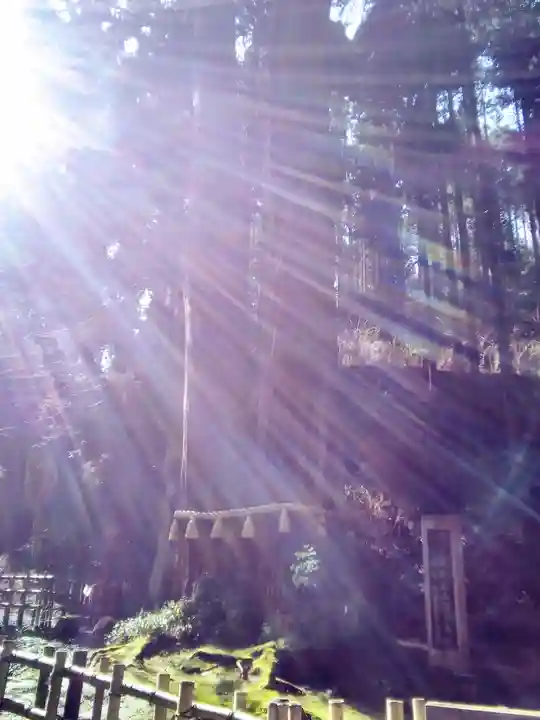 御岩神社の自然