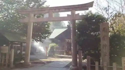 蔵前神社の鳥居