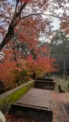 若山神社(大阪府)