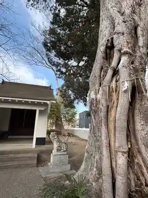 竃神社(兵庫県)