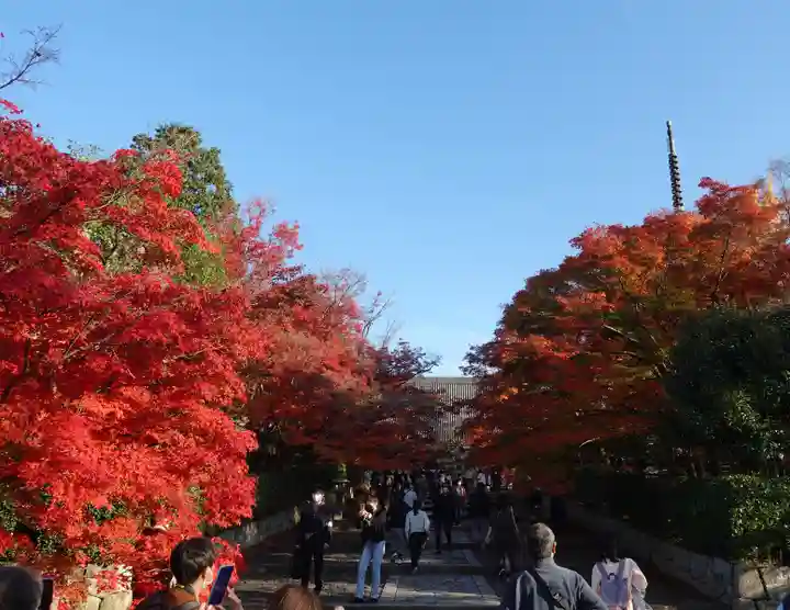 真正極楽寺(真如堂)(京都府)