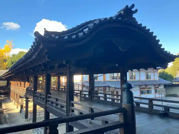 知恩院(京都府)