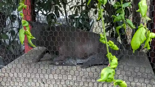 千喜万悦天満宮(京都府)