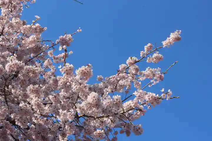 国宝 大法寺の自然