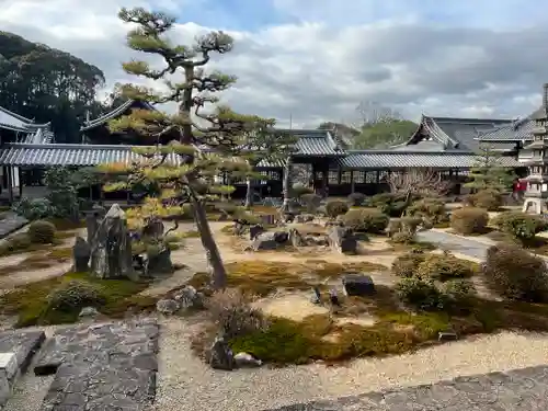 興聖寺（興聖寶林禅寺）の庭園