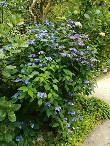 岩船寺(京都府)