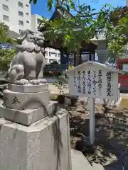 湊稲荷神社の狛犬