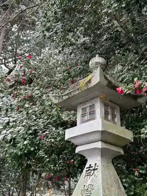 美濃國一宮 南宮大社(岐阜県)