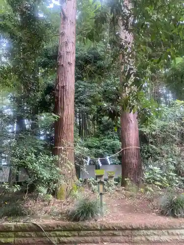 光丸山 法輪寺(栃木県)
