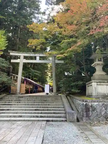 彌彦神社の鳥居