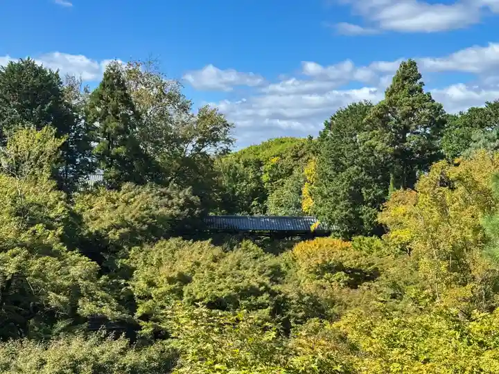 東福禅寺(東福寺)(京都府)