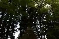 比叡山延暦寺のその他建物