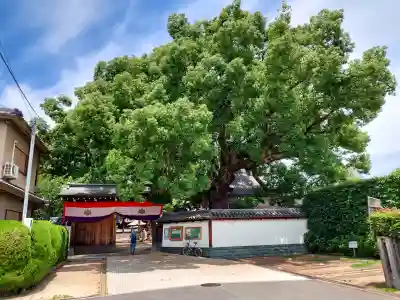 大聖観音寺（あびこ観音）(大阪府)