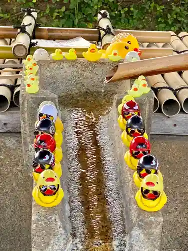 くろ谷 金戒光明寺の手水舎