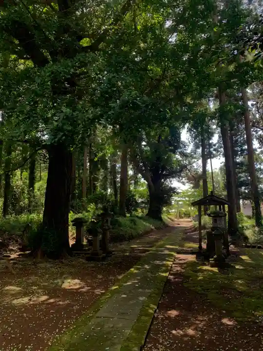 椿神社(千葉県)