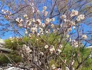 刺田比古神社(和歌山県)(2026年02月23日(月) 21時27分41秒投稿)