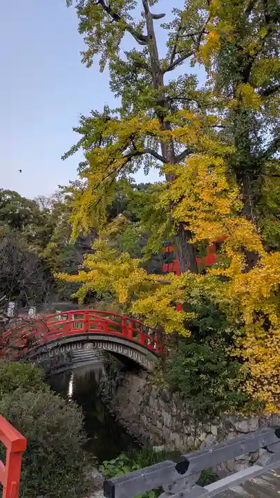 賀茂御祖神社(下鴨神社)(京都府)