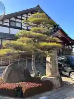 正信寺のその他建物